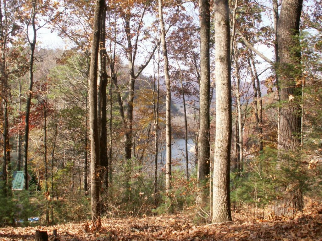 1981 Sink Valley Road Butler, TN 37640 - Photo 4 of 6 LAKE WATAUGA VIEW