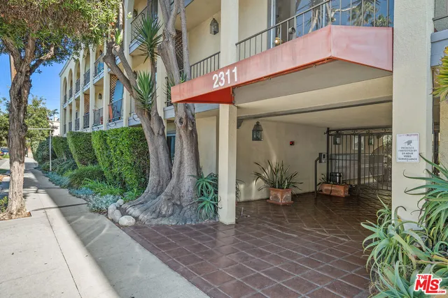 a view of a potted plants in front of a building