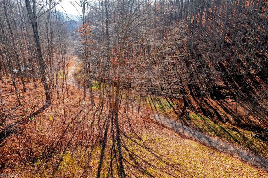 746 Mulkey Branch Road Creston, NC 28615 - Photo 11 of 33