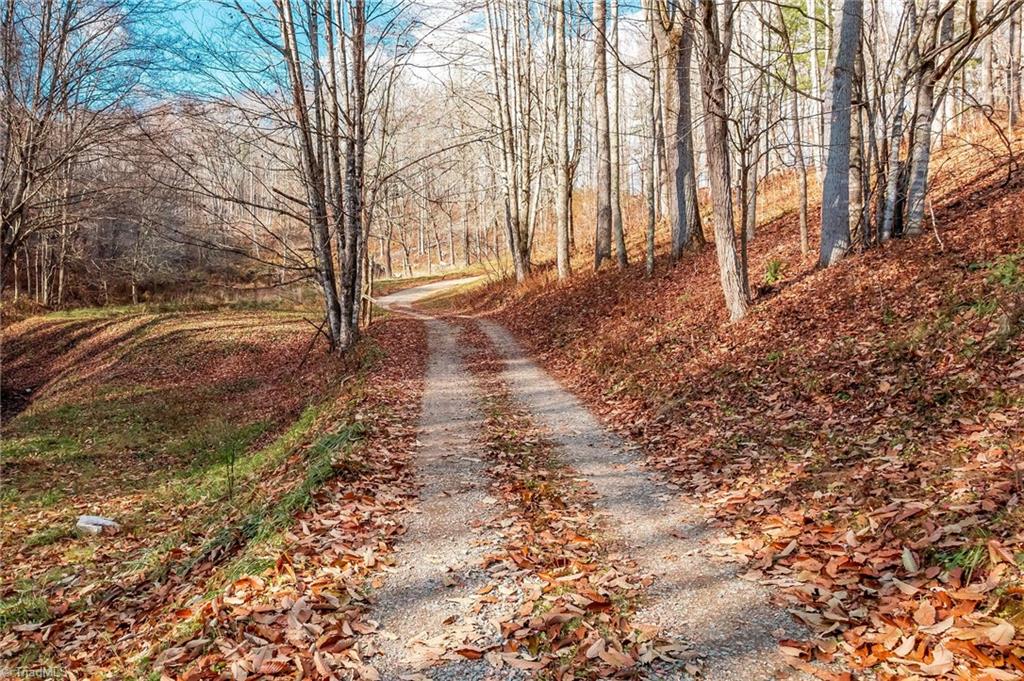 746 Mulkey Branch Road Creston, NC 28615 - Photo 3 of 33