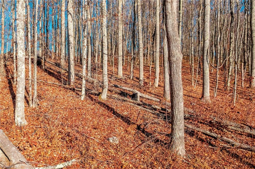 746 Mulkey Branch Road Creston, NC 28615 - Photo 6 of 33