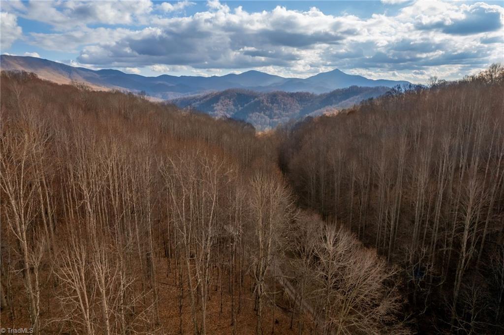 746 Mulkey Branch Road Creston, NC 28615 - Photo 7 of 33