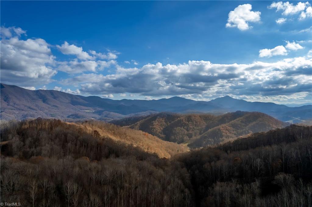 746 Mulkey Branch Road Creston, NC 28615 - Photo 8 of 33