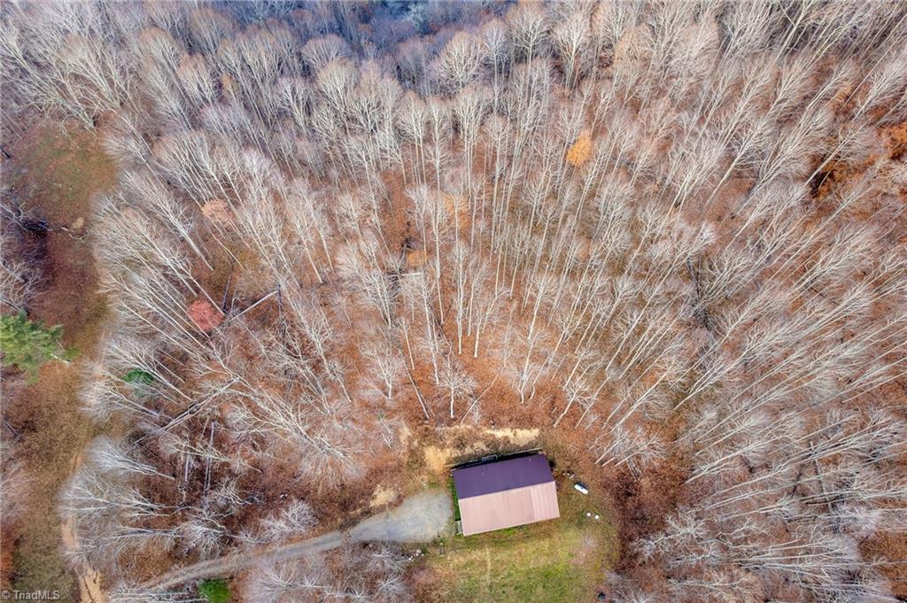 746 Mulkey Branch Road Creston, NC 28615 - Photo 9 of 33