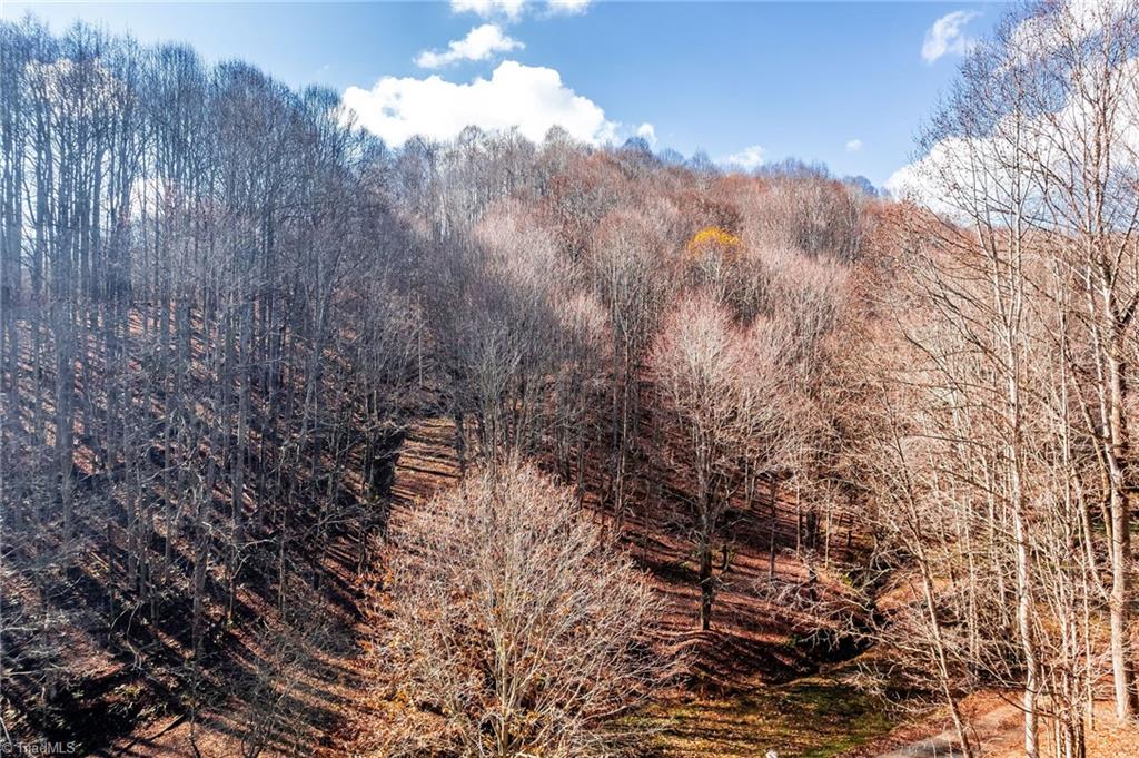 746 Mulkey Branch Road Creston, NC 28615 - Photo 10 of 33