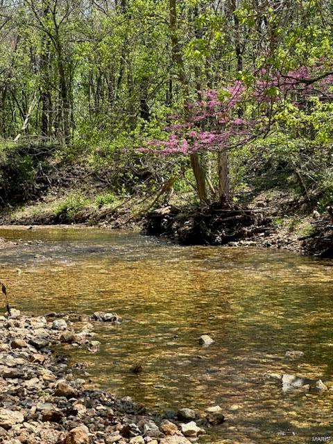 4863 Fox Creek Road Wildwood, MO 63069 - Photo 38 of 54