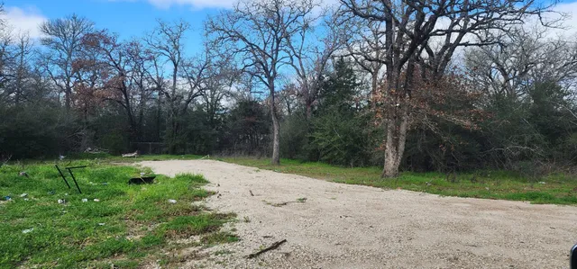 a view of a yard with large trees