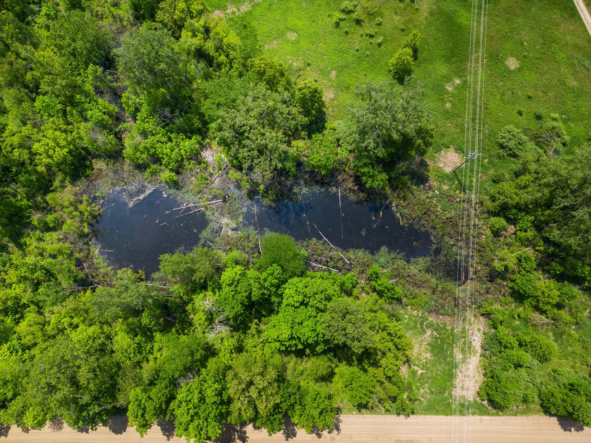 20529 Logan Road Manchester, MI 48158 - Photo 34 of 50 46-web-or-mls-DJI_0007