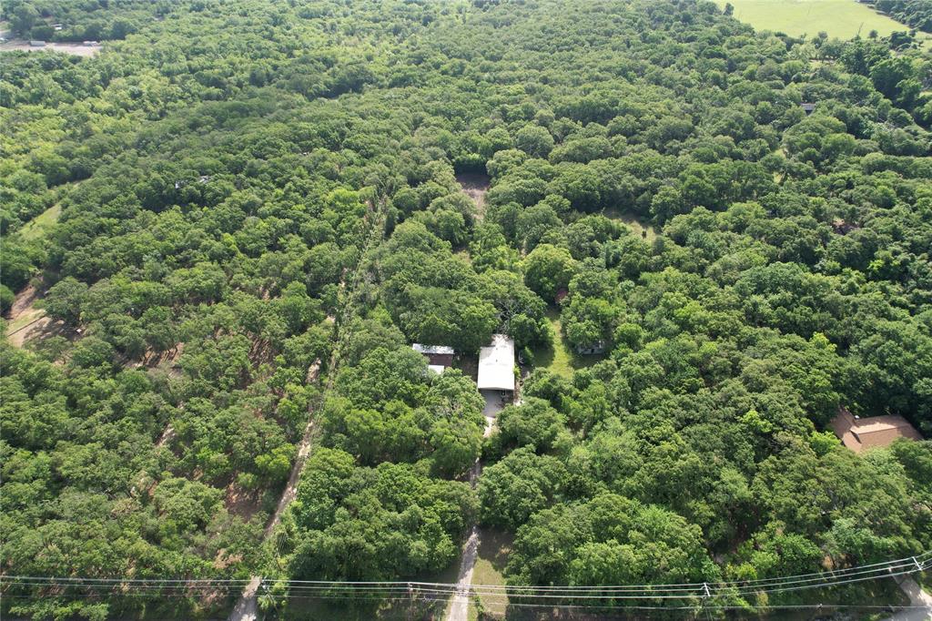 a view of a forest with a building