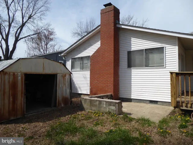 a view of backyard with potted plants and large tree