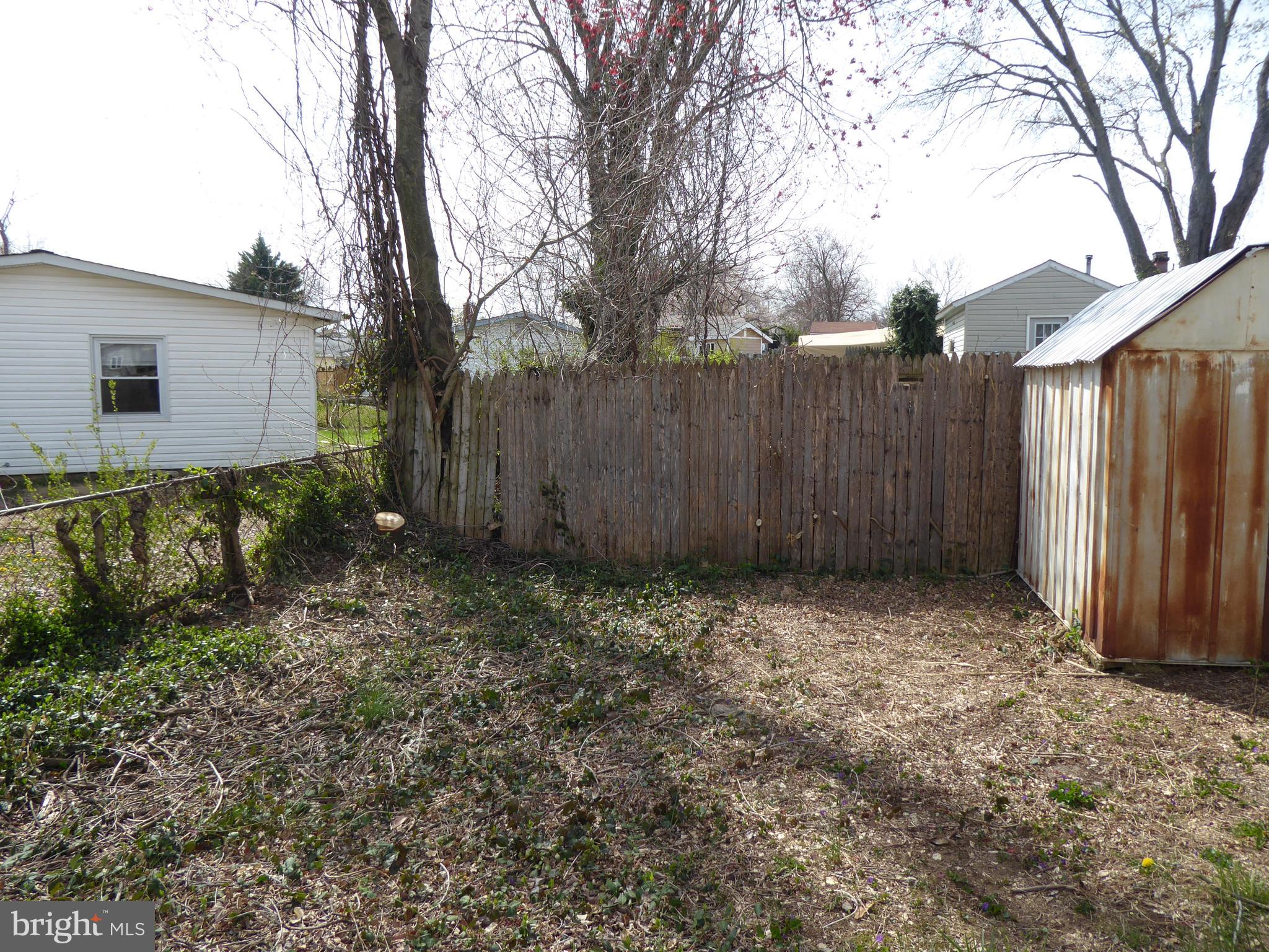 903 Regency Road Woodbridge, VA 22191 - Photo 36 of 38 a view of backyard with potted plants and large tree