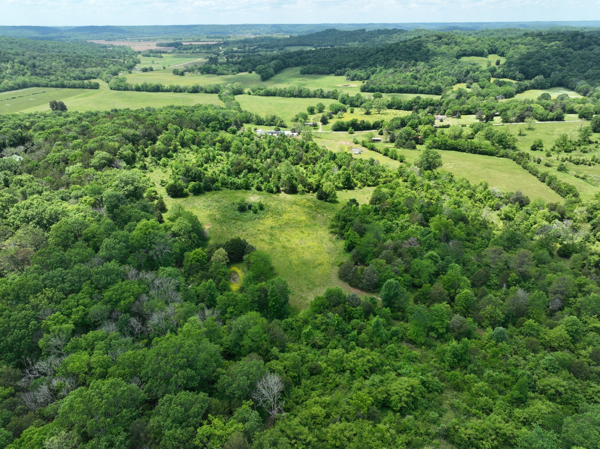 a view of a lush green forest with lots of trees