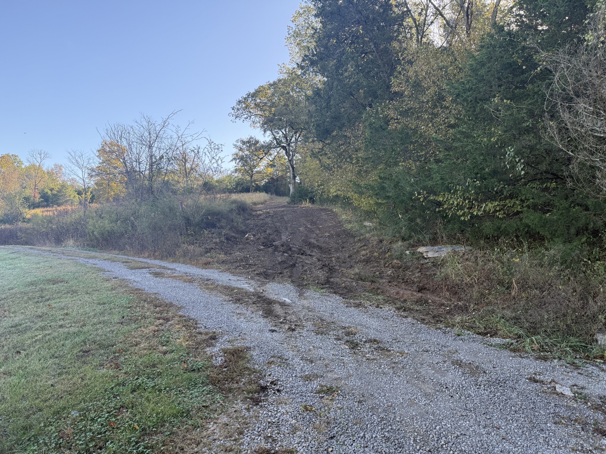 0 Moore Hollow Road Prospect, TN 38477 - Photo 3 of 14 a view of a dry yard with trees