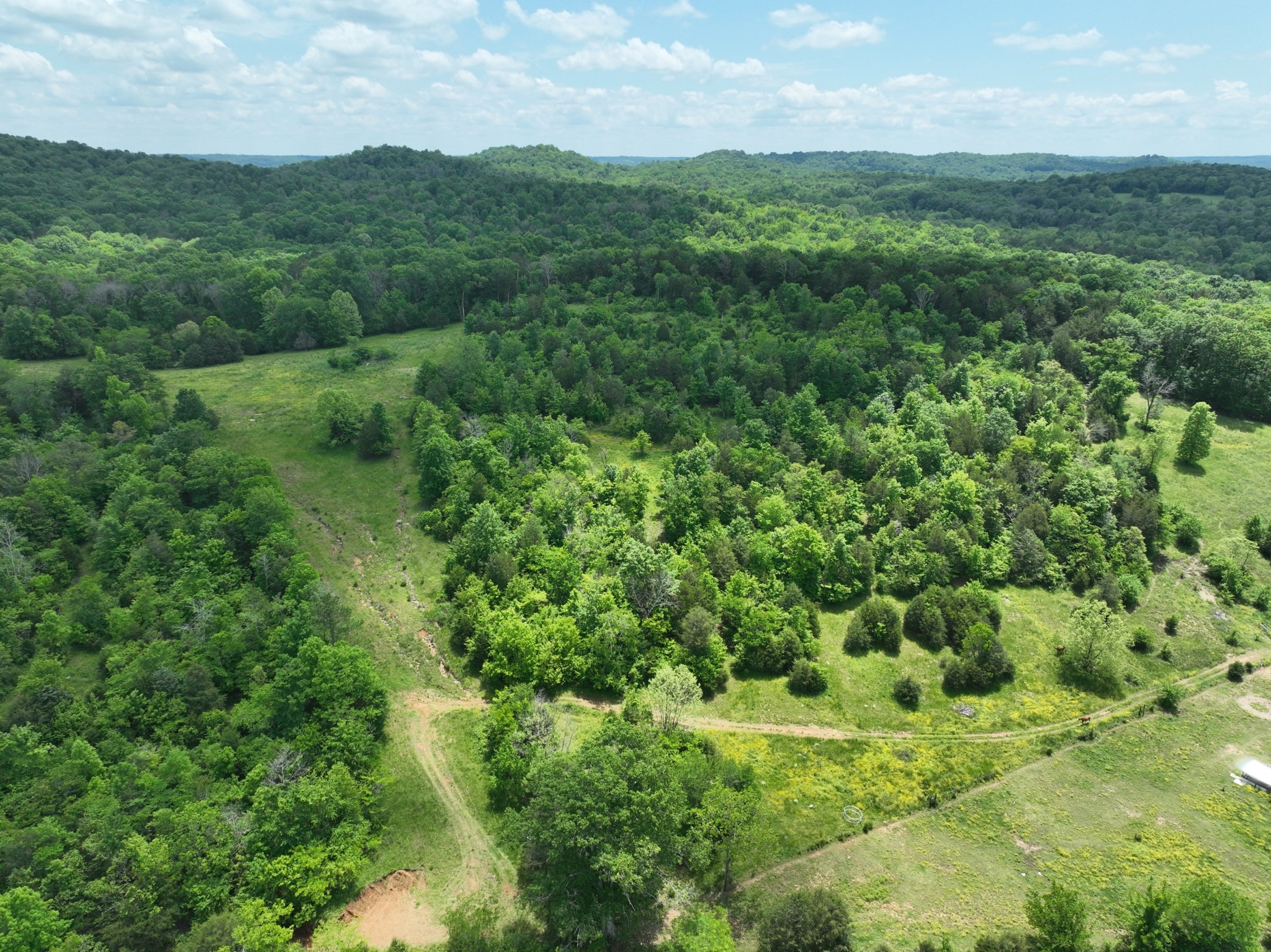 0 Moore Hollow Road Prospect, TN 38477 - Photo 4 of 14 a view of a lush green forest with trees in the background