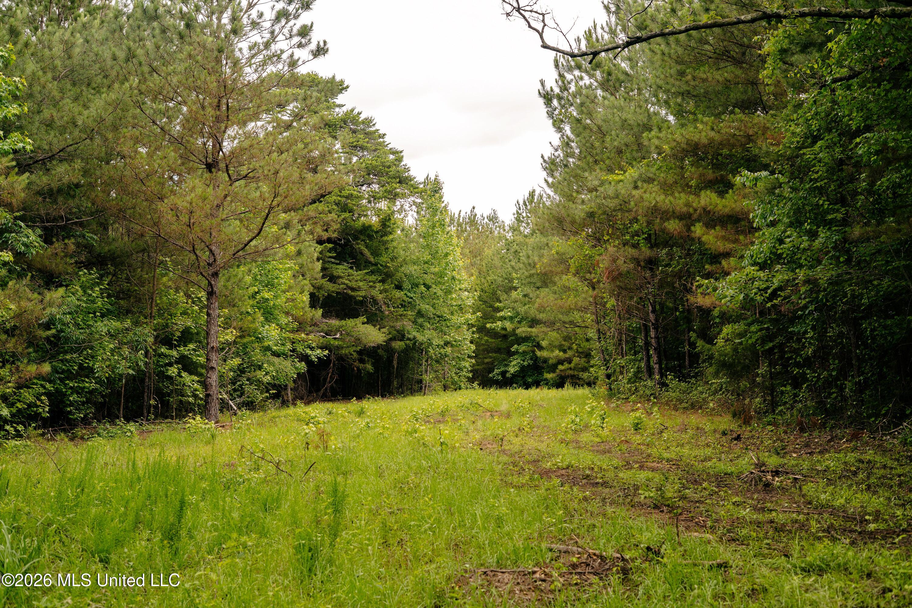 10843 Reservation Road Philadelphia, MS 39350 - Photo 34 of 42 DSC08145