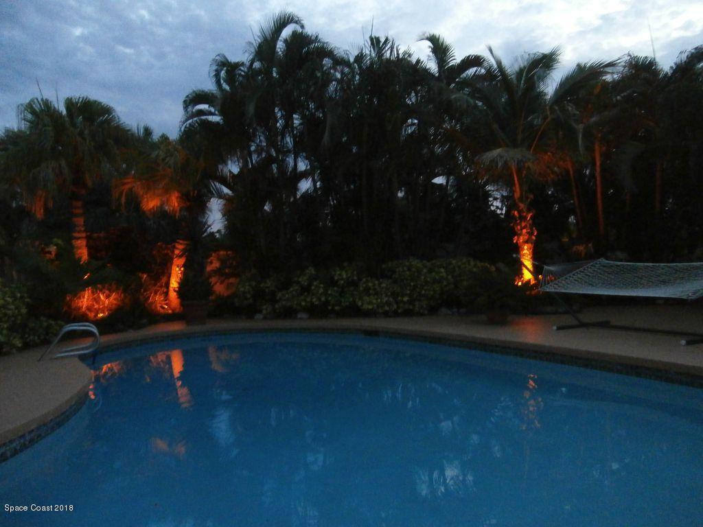 Pool night