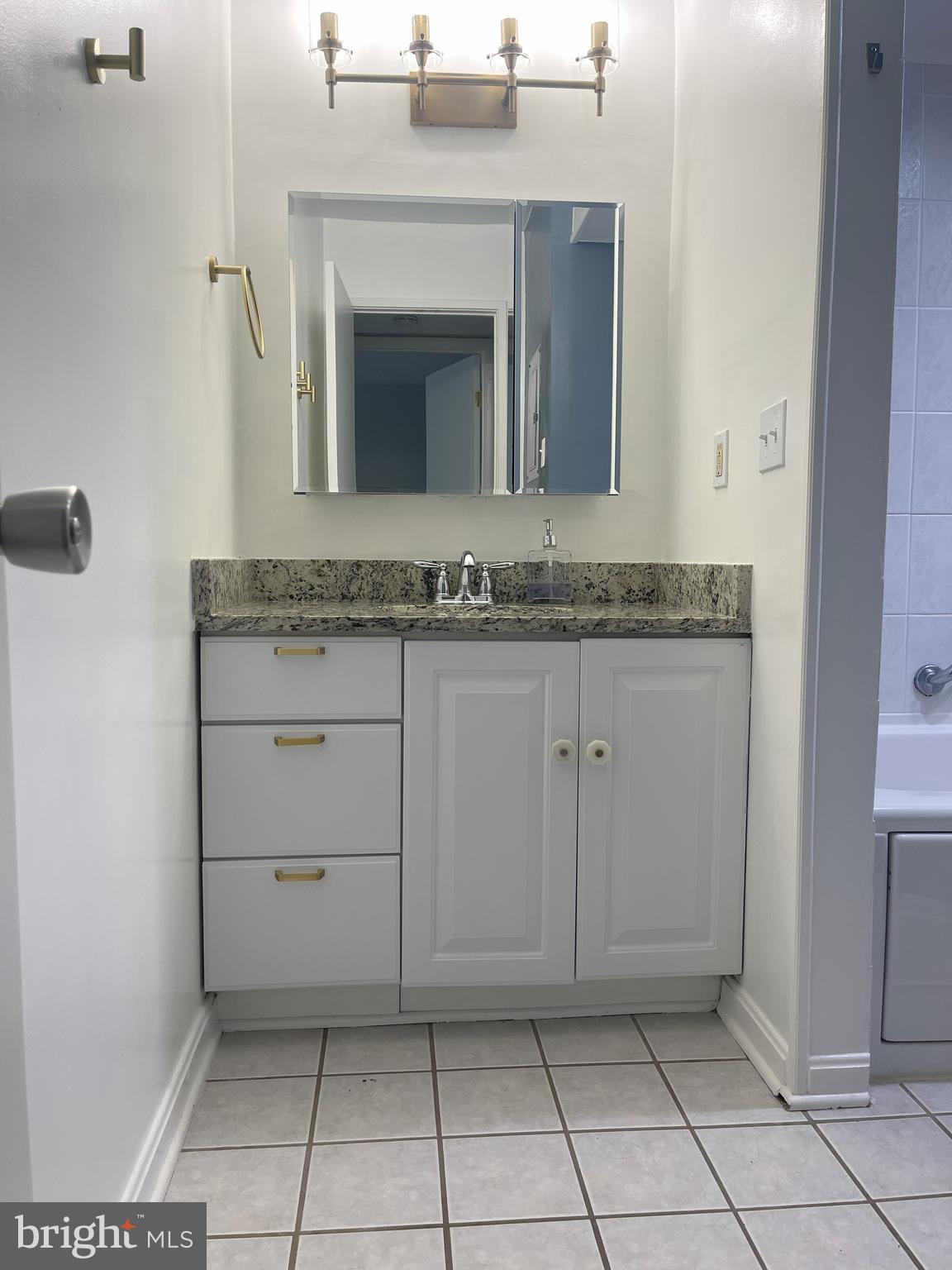 1661 Parkcrest Circle, Unit 100 Reston, VA 20190 - Photo 13 of 13 a bathroom with a granite countertop sink and a mirror