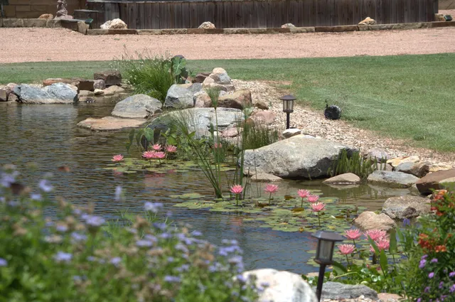 a view of a garden with plants