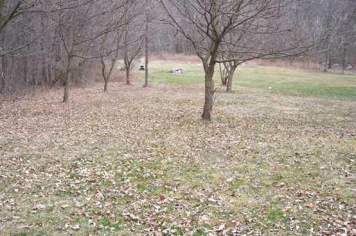353 Cottage Road Clinton, PA 15026 - Photo 2 of 5 Yard/Garden.