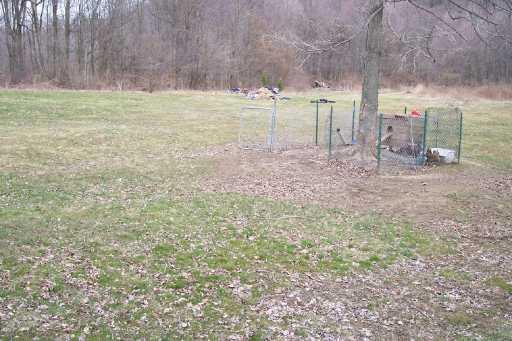 353 Cottage Road Clinton, PA 15026 - Photo 3 of 5 Yard/Garden.