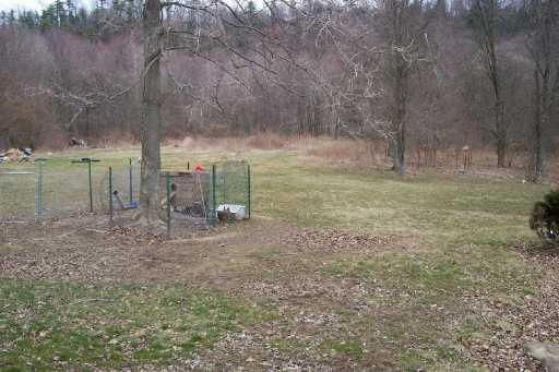 353 Cottage Road Clinton, PA 15026 - Photo 4 of 5 Yard/Garden.