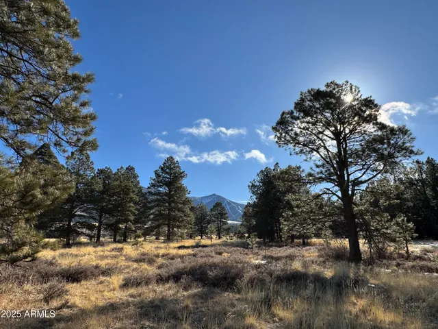 $627,000 | 3 Hart Prairie Road, Flagstaff, AZ 86001
