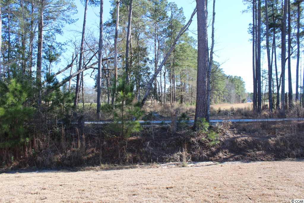 516 Whiddy Loop Conway, SC 29526 - Photo 22 of 34 Gallery Image 22