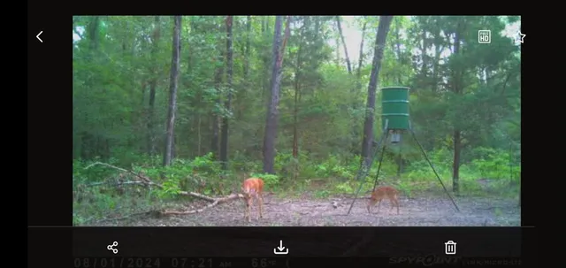 $295,000 | 9948 Richardson Road, Athens, TX 75752