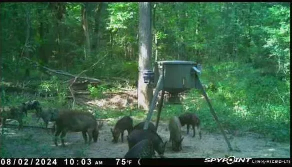 $295,000 | 9948 Richardson Road, Athens, TX 75752