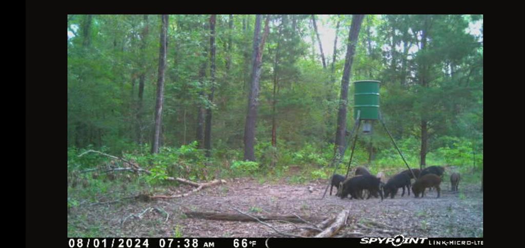 9948 Richardson Road Athens, TX 75752 - Photo 24 of 24 a view of a garden