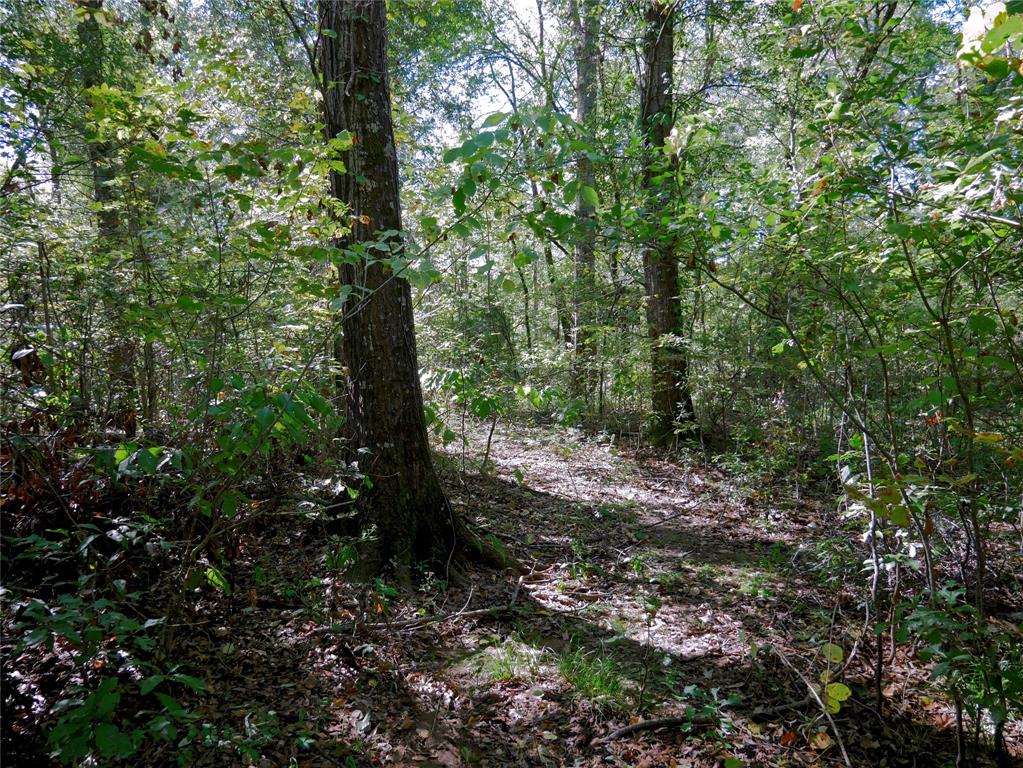 9948 Richardson Road Athens, TX 75752 - Photo 3 of 24