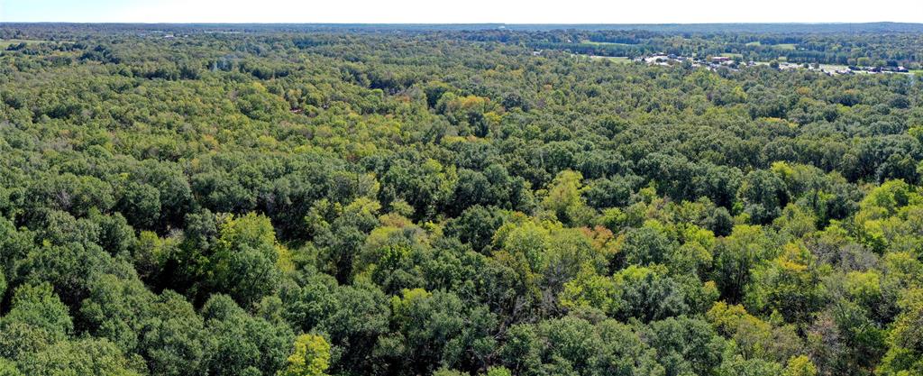 9948 Richardson Road Athens, TX 75752 - Photo 7 of 24 a view of a lush green forest with trees and some houses