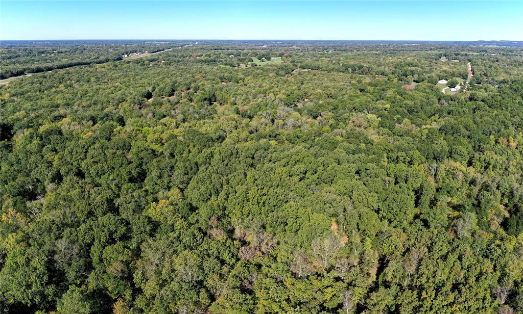 9948 Richardson Road Athens, TX 75752 - Photo 8 of 24 an aerial view of a houses with a yard