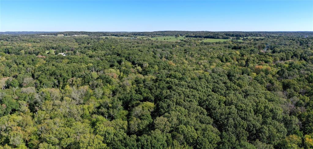 9948 Richardson Road Athens, TX 75752 - Photo 9 of 24 a view of a forest with a street