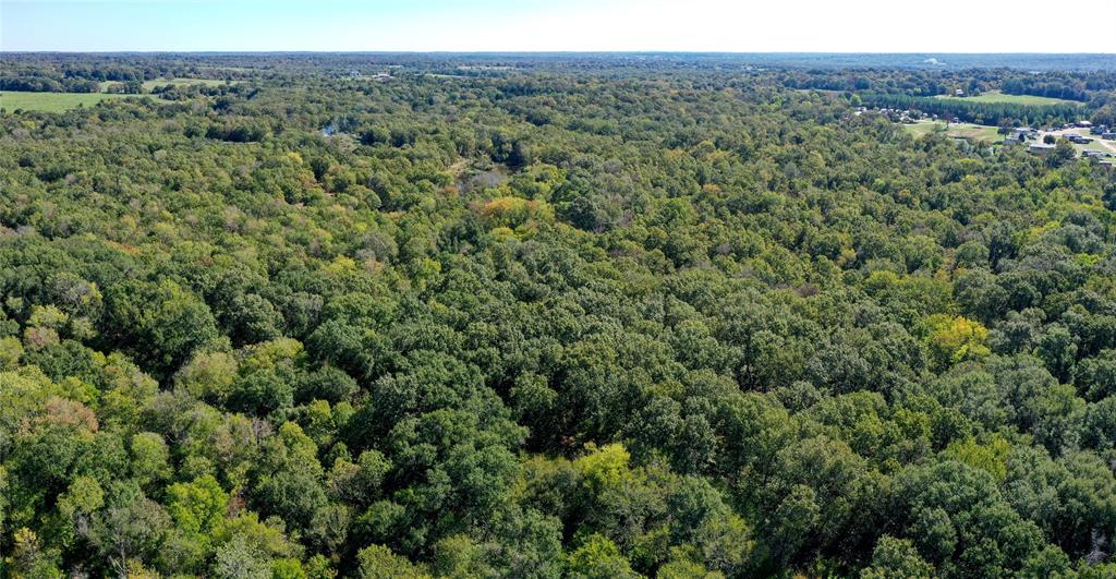 9948 Richardson Road Athens, TX 75752 - Photo 10 of 24 a view of a lush green forest with trees and some houses