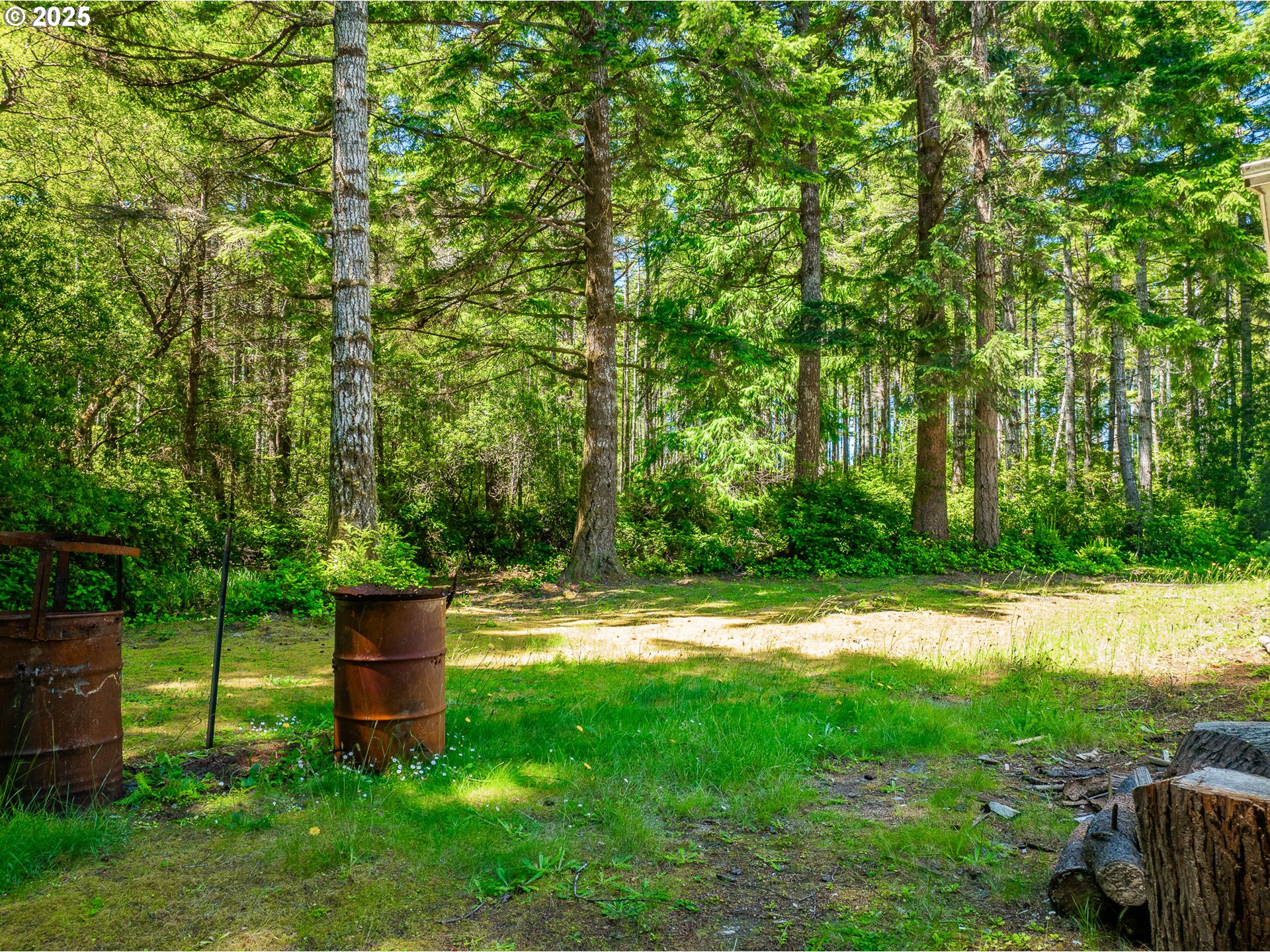 58897 Constance Drive Bandon, OR 97411 - Photo 20 of 37 a fire hydrant in the middle of a field