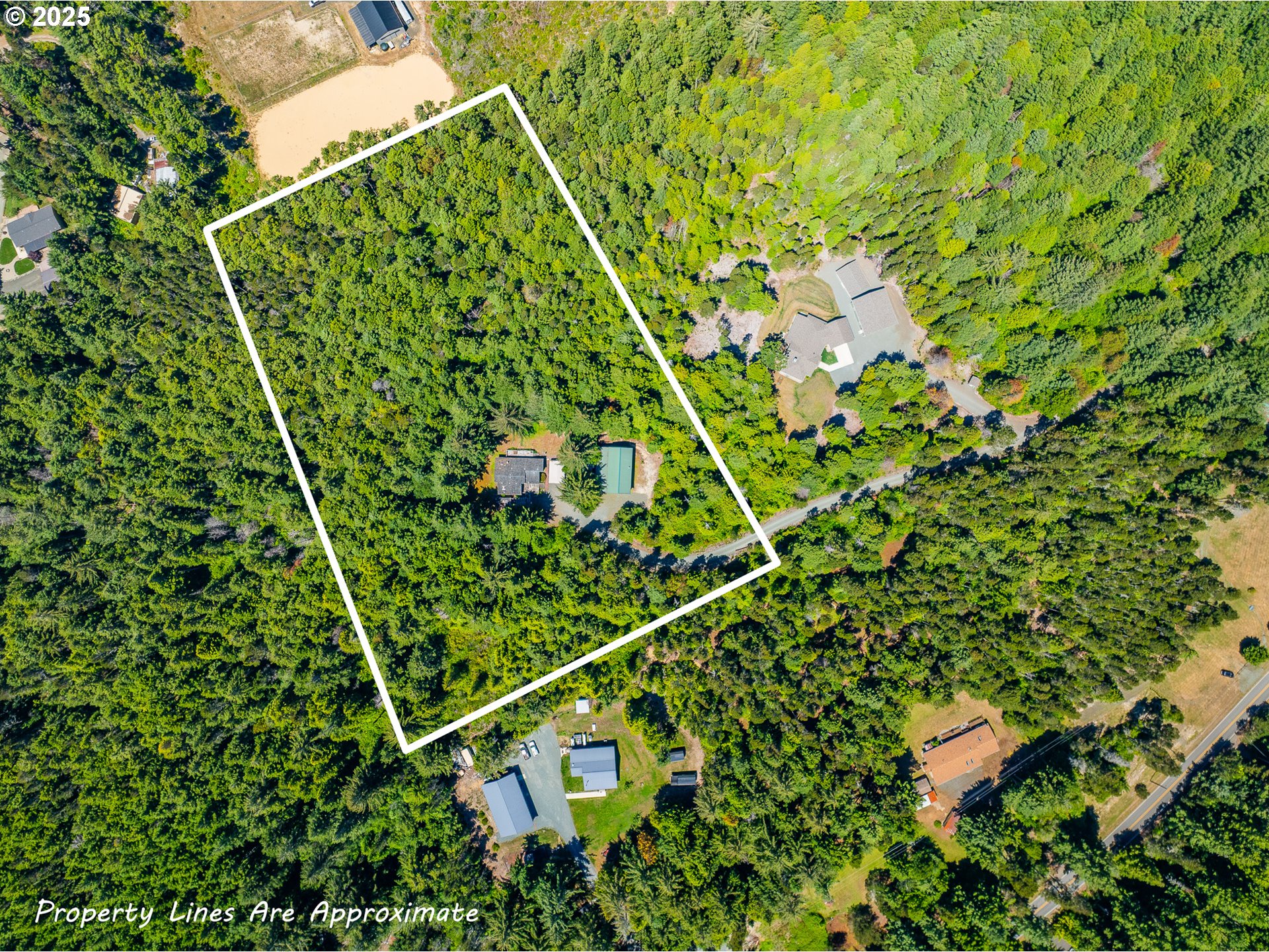 58897 Constance Drive Bandon, OR 97411 - Photo 2 of 37 a backyard of a house with lots of green space