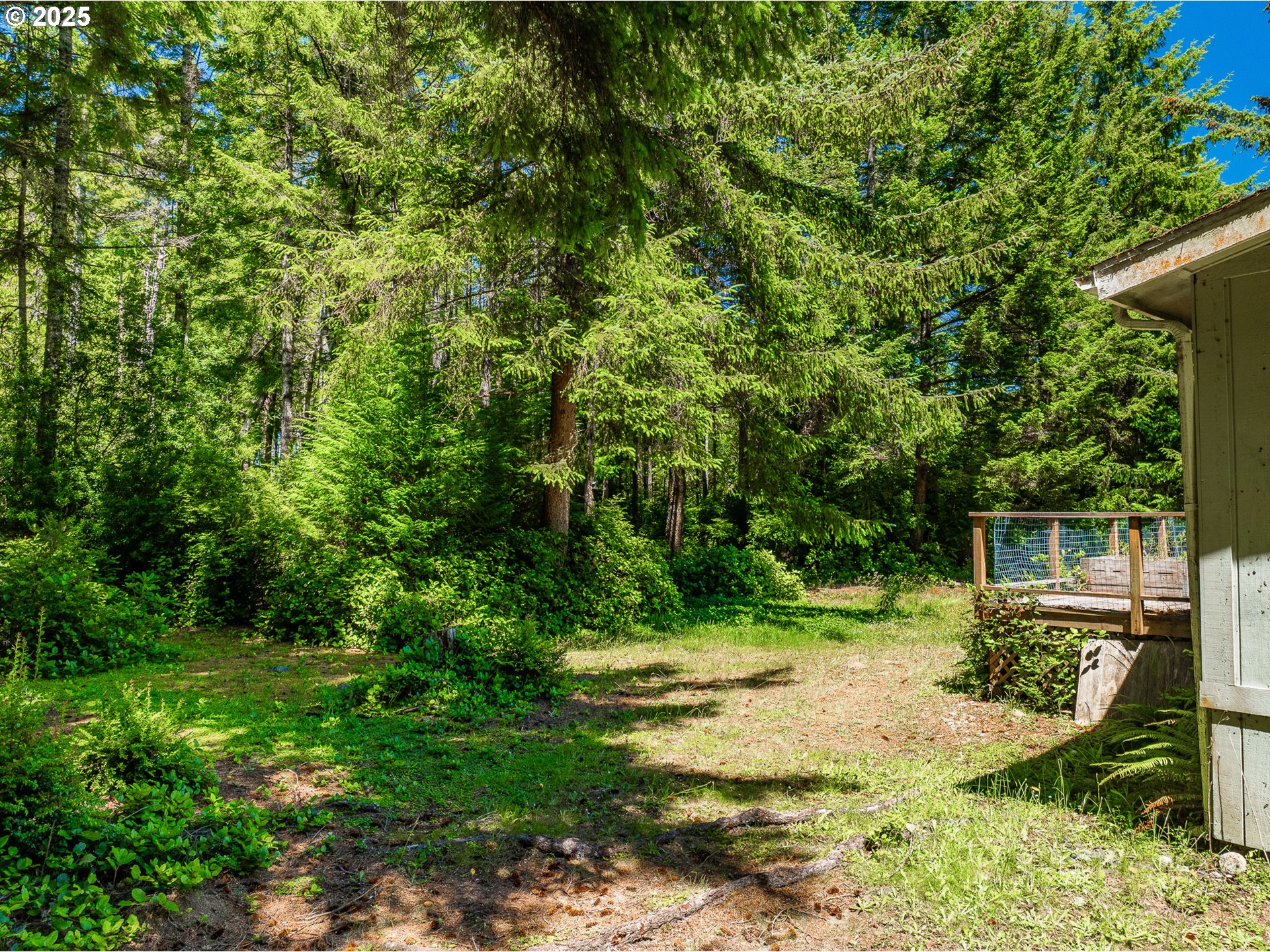 58897 Constance Drive Bandon, OR 97411 - Photo 22 of 37 a view of a small yard