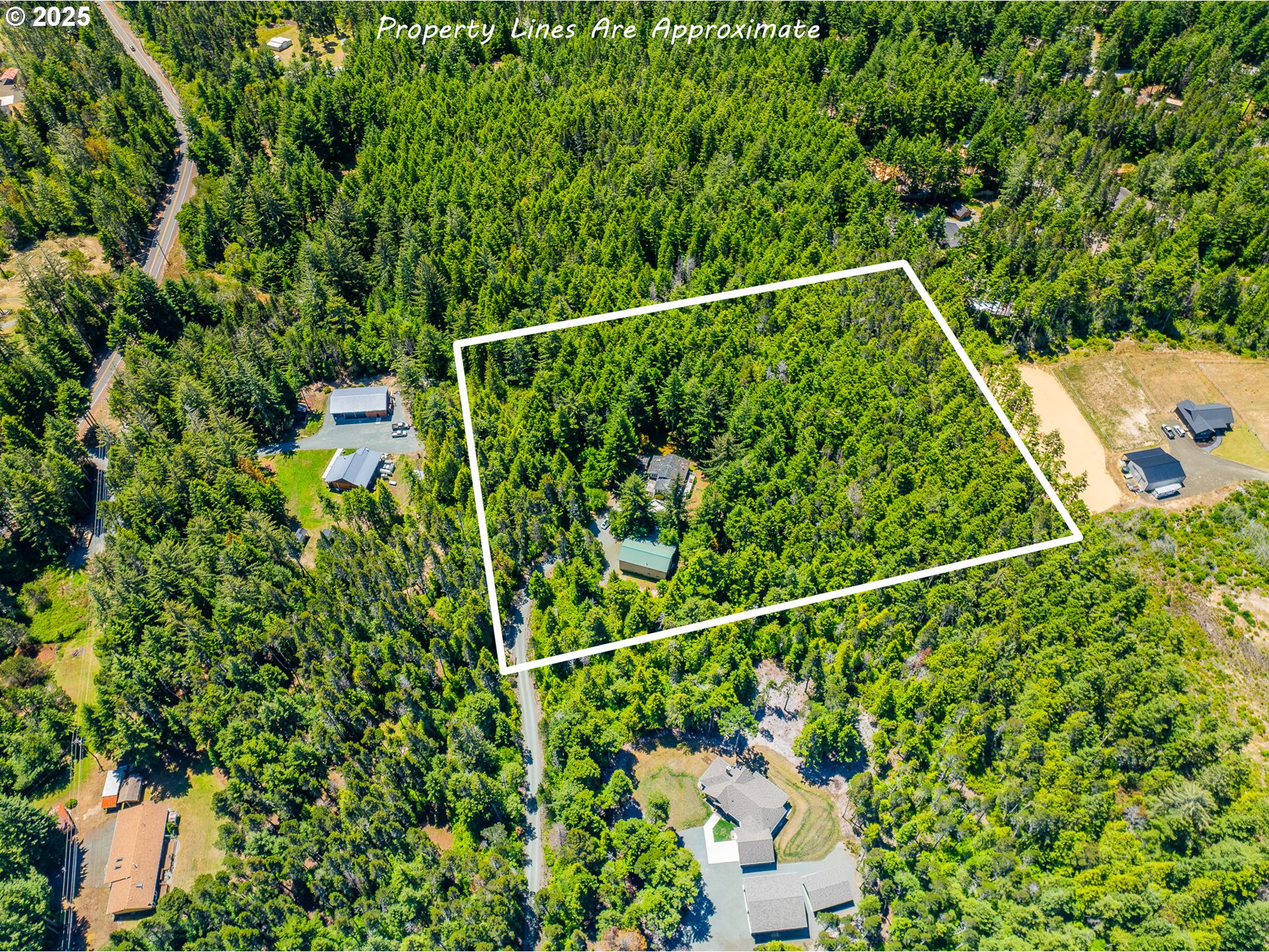 58897 Constance Drive Bandon, OR 97411 - Photo 28 of 37 a view of a yard