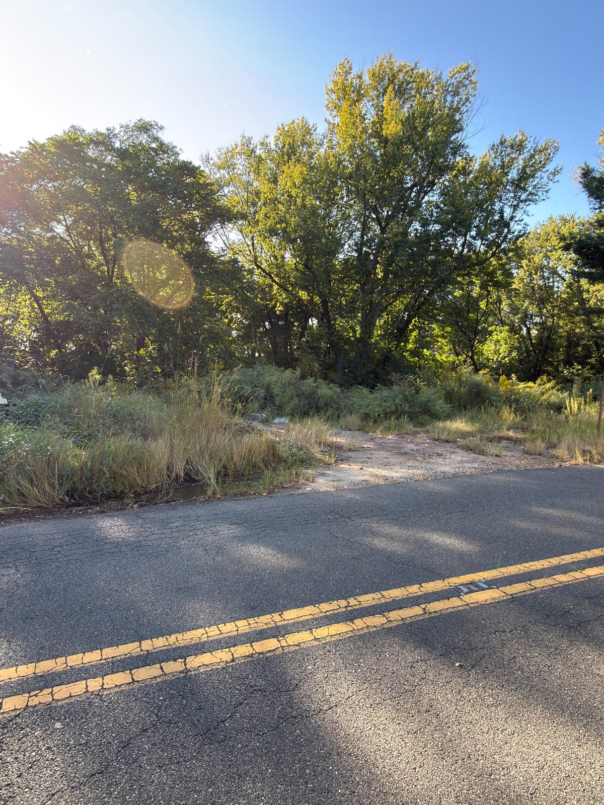 Undisclosed Address Cream Ridge, NJ 08514 - Photo 3 of 12 IMG_3187.jpg