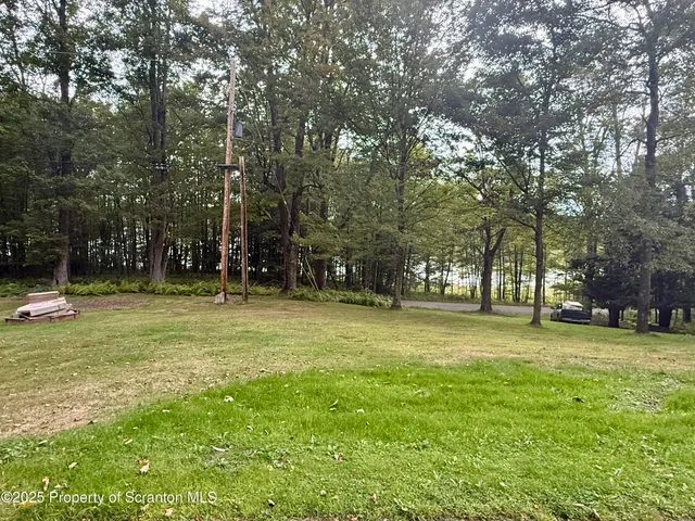 a view of a trees in front of a house