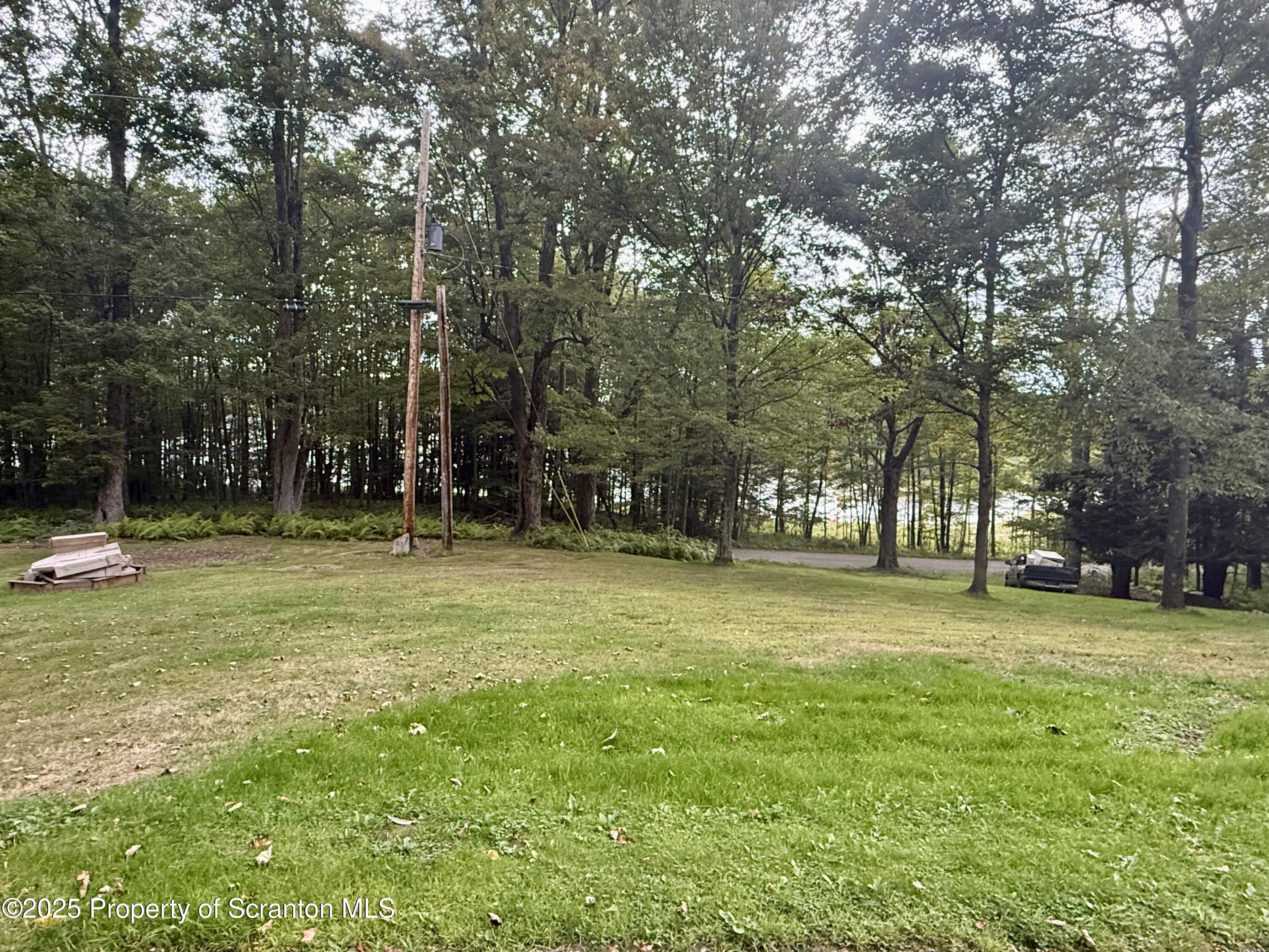 1218 Campsite Road Thompson, PA 18465 - Photo 12 of 26 a view of a trees in front of a house