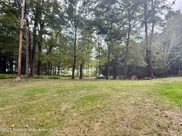 a view of a field with trees