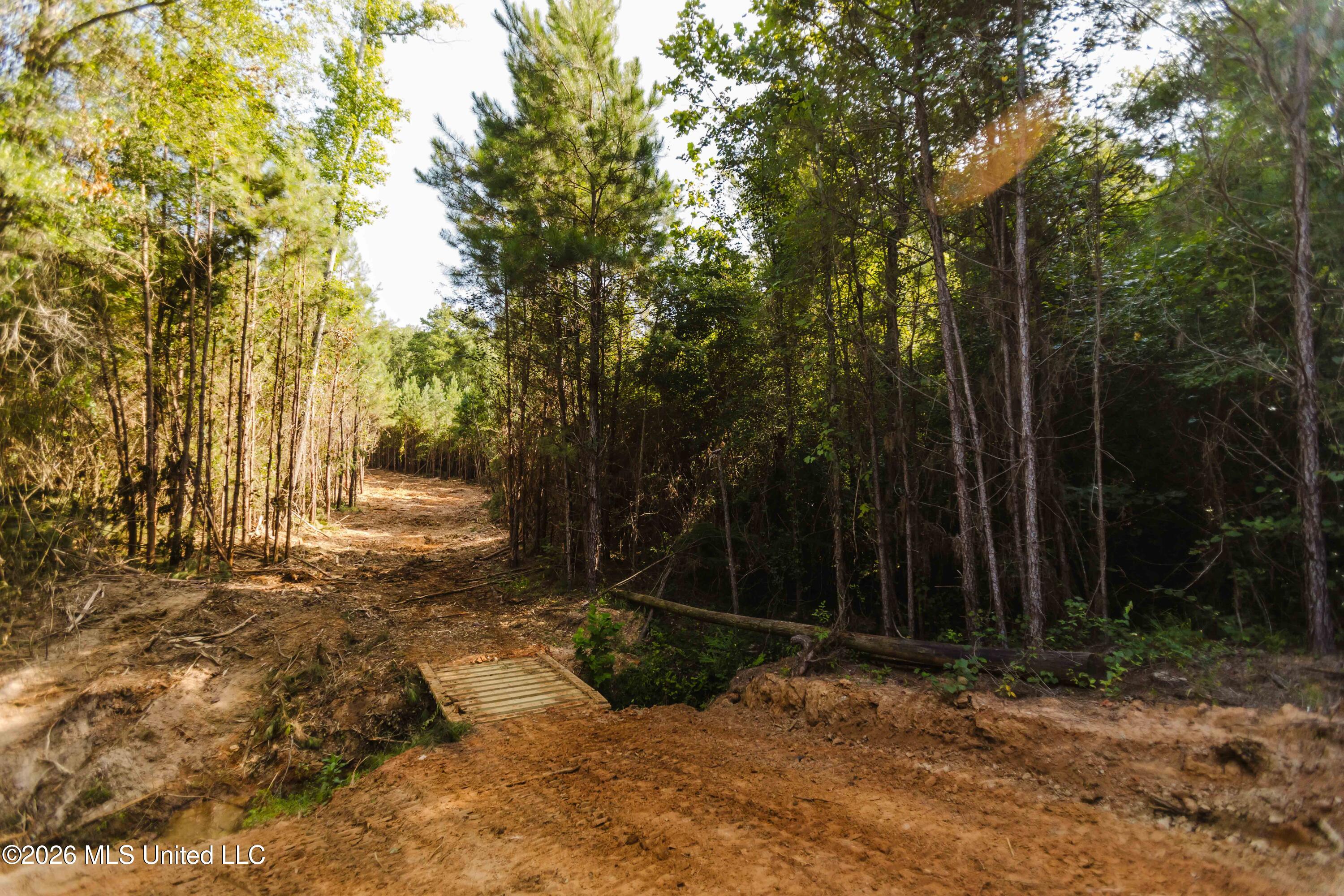 235 Woodrow Martin Road Brandon, MS 39042 - Photo 32 of 36 watsonphotography260721093641