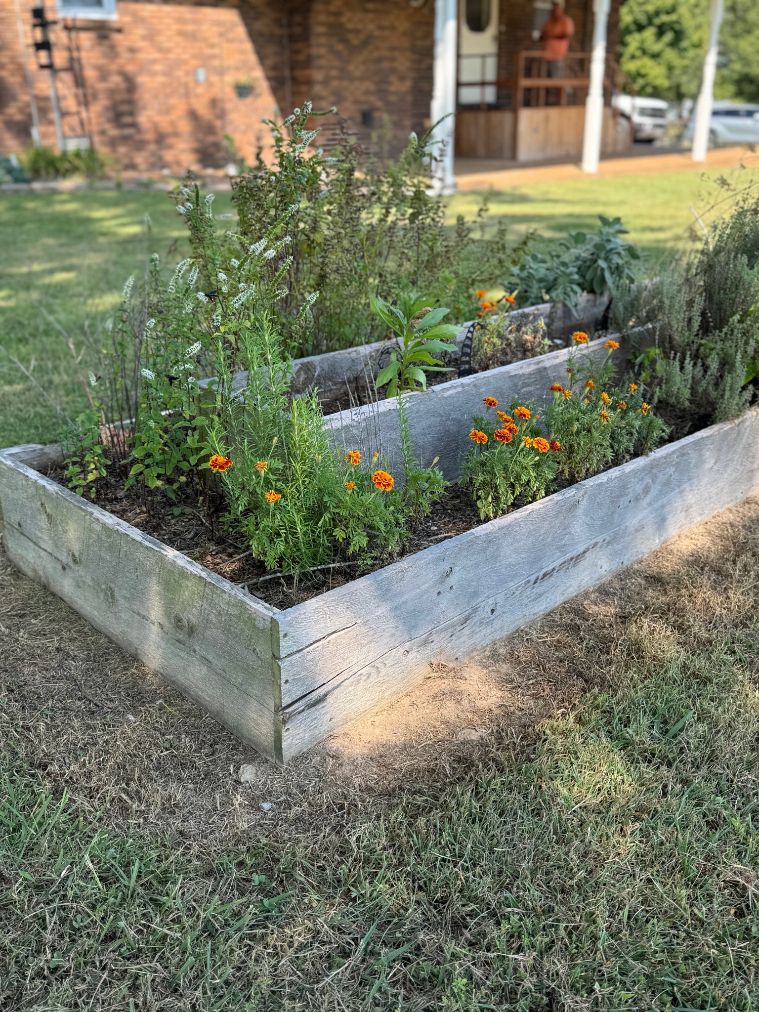 1792 Austin Road Lafayette, TN 37083 - Photo 34 of 34 a view of a garden with pathway