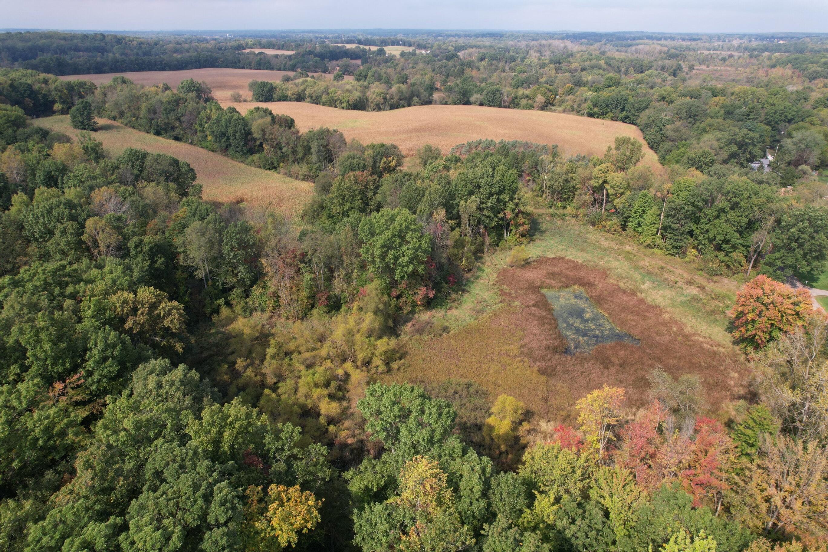 3668 Albion Road Concord, MI 49237 - Photo 15 of 15 dji_fly_20241001_132130_197_172780400423