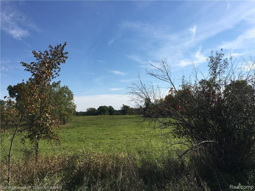 0 Green Road Linden, MI 48451 - Photo 5 of 11