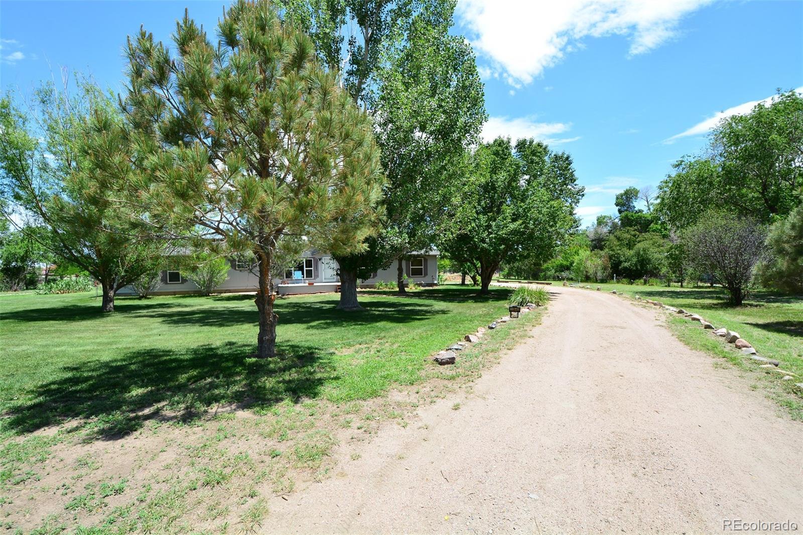 a view of a park with tree s