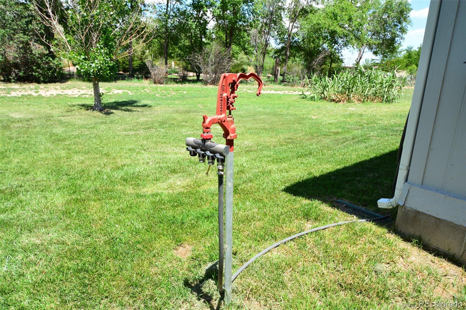 30640 Aldred Road Pueblo, CO 81006 - Photo 7 of 34 a garden view