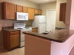 5550 East Michigan Street, Unit 3232 Orlando, FL 32822 - Photo 9 of 21 a kitchen with a sink a refrigerator and cabinets
